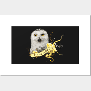 Snowy owl Posters and Art